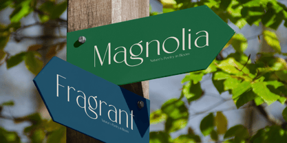 Mongre Font Poster 4