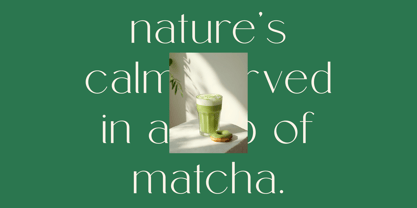 Mongre Font Poster 3