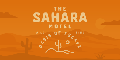 Dustico Font Poster 3