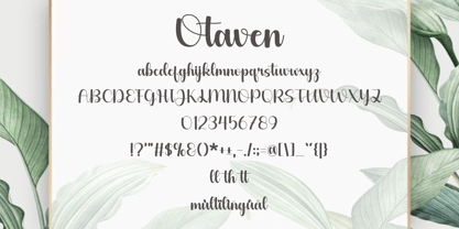 Otaven Font Poster 6