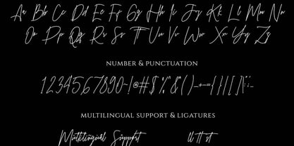 Pakotha Font Poster 7