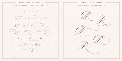 La Rumba Font Poster 14