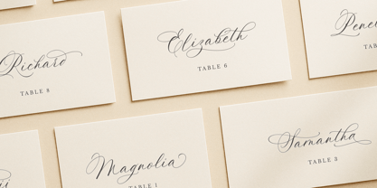 La Rumba Font Poster 12