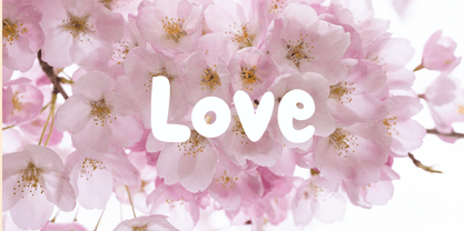 Pastiera Font Poster 3