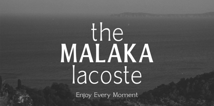 Gallion Pro Font Poster 11