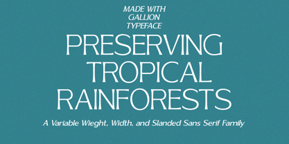 Gallion Pro Font Poster 2