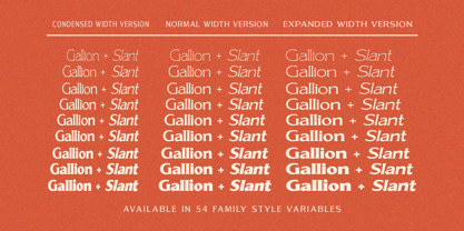 Gallion Pro Font Poster 10