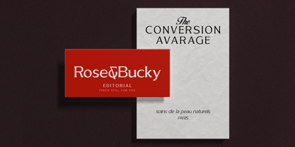 Gallion Pro Font Poster 4