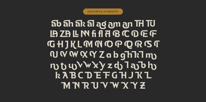 Namio Magah Font Poster 14