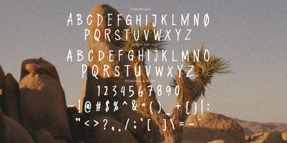 Moveric Brush Font Poster 7
