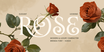 Brenda SS Font Poster 4
