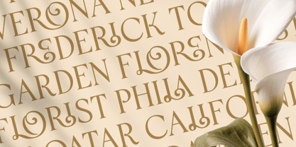 Brenda SS Font Poster 6