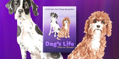 Qualion Round Font Poster 15