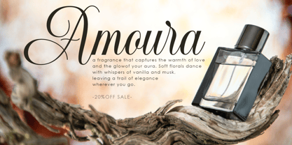 Fayela Font Poster 7