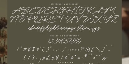 Silent Orchid Font Poster 14