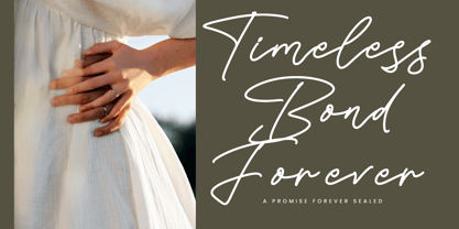 Silent Orchid Font Poster 10