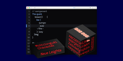 Neue Leights Font Poster 9