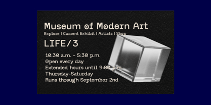 Neue Leights Font Poster 10