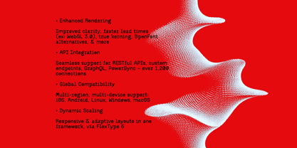 Neue Leights Font Poster 8