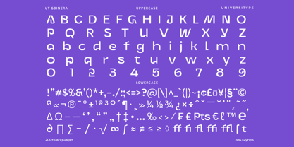 UT Goinera Font Poster 12