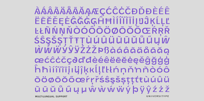 UT Goinera Font Poster 13