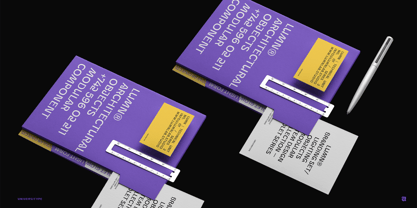 UT Goinera Font Poster 11