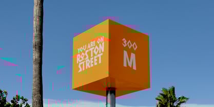 MC Roston Ecadyo Font Poster 6