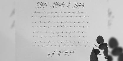 Almarthena Font Poster 8