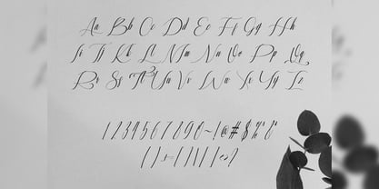 Almarthena Font Poster 6