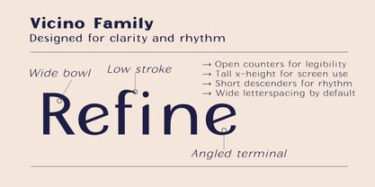 Vicino Font Poster 4