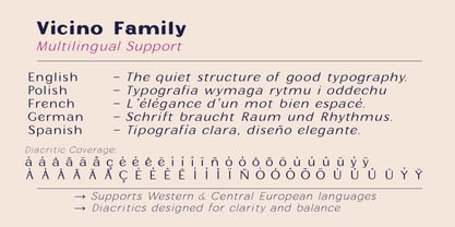 Vicino Font Poster 10