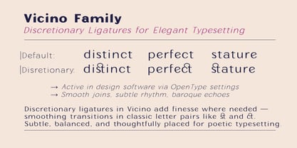 Vicino Font Poster 8