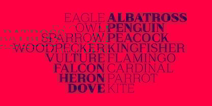 Rules Serif Font Poster 8