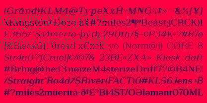 Rules Serif Font Poster 12