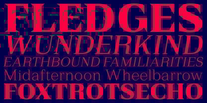 Rules Serif Font Poster 9