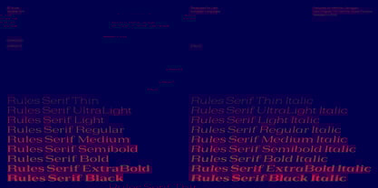 Rules Serif Font Poster 5