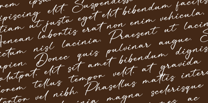 Sailor Religne Font Poster 3