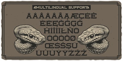 Tailface Font Poster 4