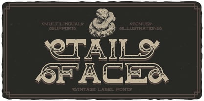 Tailface Font Poster 1