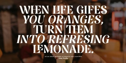 Atlas Grove Font Poster 9