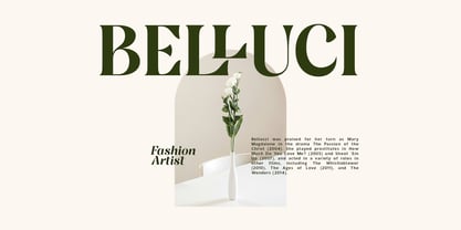 Atlas Grove Font Poster 4
