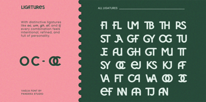 Vaelia Font Poster 8