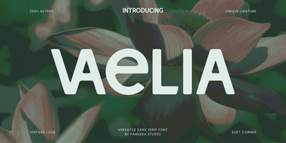 Vaelia Font Poster 1