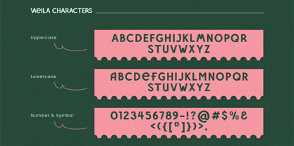 Vaelia Font Poster 9