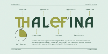 Vaelia Font Poster 7