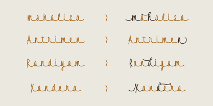 Flownice Font Poster 10