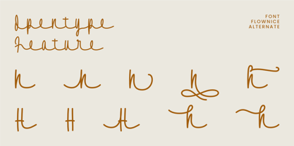 Flownice Font Poster 9