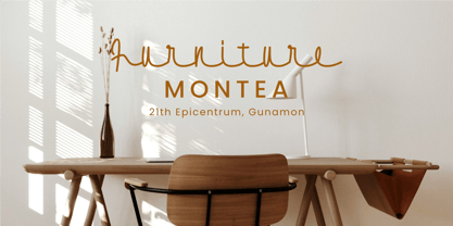 Flownice Font Poster 6