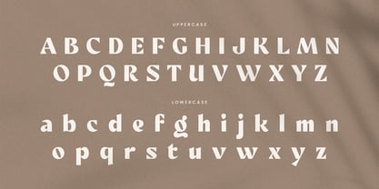 Megalic Font Poster 10