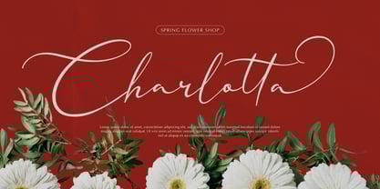 Nellysia Sorettein Font Poster 3